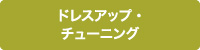 ドレスアップ・<br>チューニング